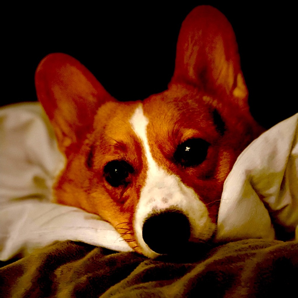 Meet your Posher, Malissa